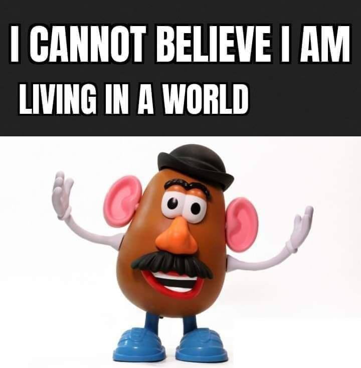 CANNOT BELIEVE LIVING IN A WORLD