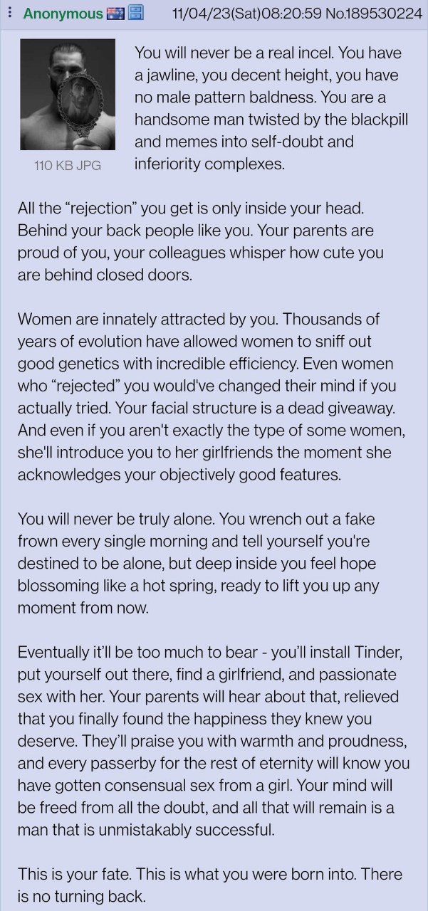 Anonymous No189530224 You will never be a real incel. You have you decent height, you have no male pattern baldness. You are a handsome man twisted the blackpill and memes into self-doubt and 110 JPG 