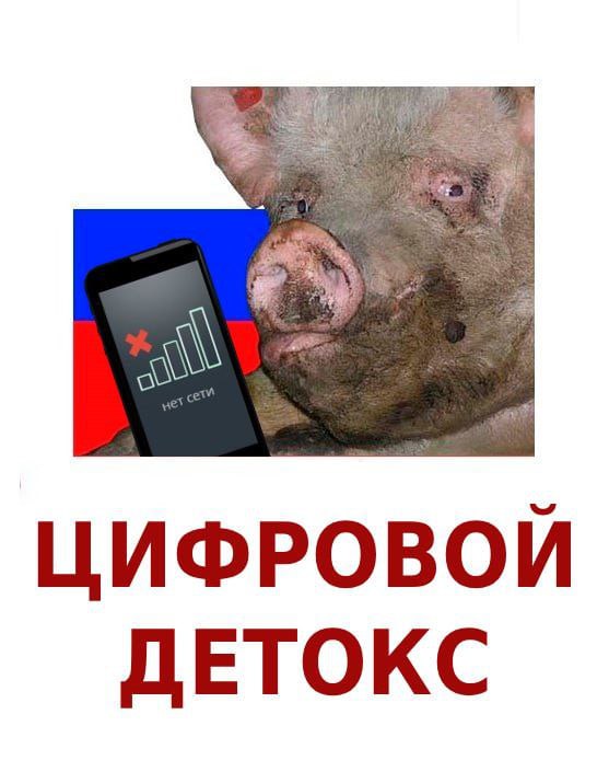 ЦИФРОВОЙ ДЕТОКС