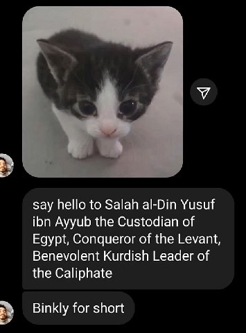 У say hello to Salah al-Din Yusuf ibn Ayyub the Custodian of Egypt, Conqueror of the Levant, Benevolent Kurdish Leader of the Caliphate Binkly for short