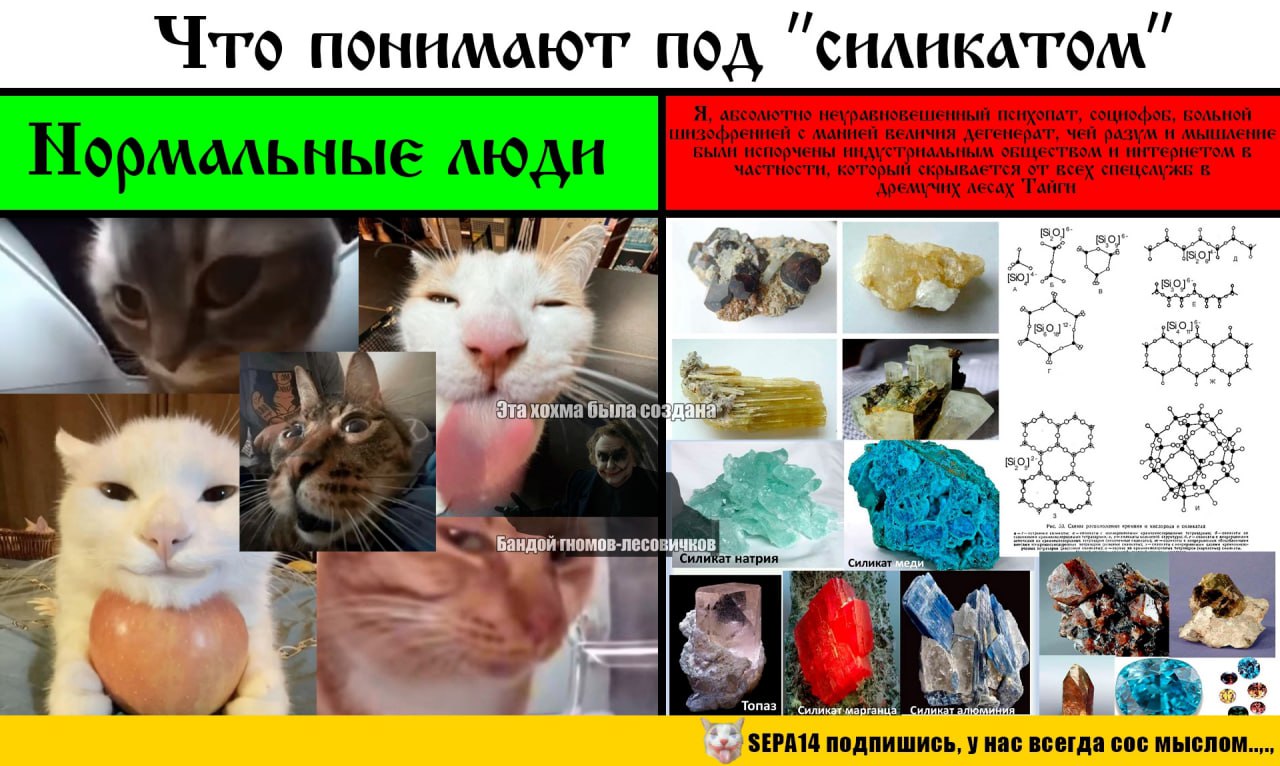 И Что понимают под CHAHKATOM люди i 5 50 of 550 у Этахохма была =a off гномов-лесовичков ida у SEPA14 подпишись, у нас всегда сос MbICNOM..,.,