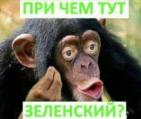 ЧЕМ ТУТ ЗЕЛЕНСКИЙ?