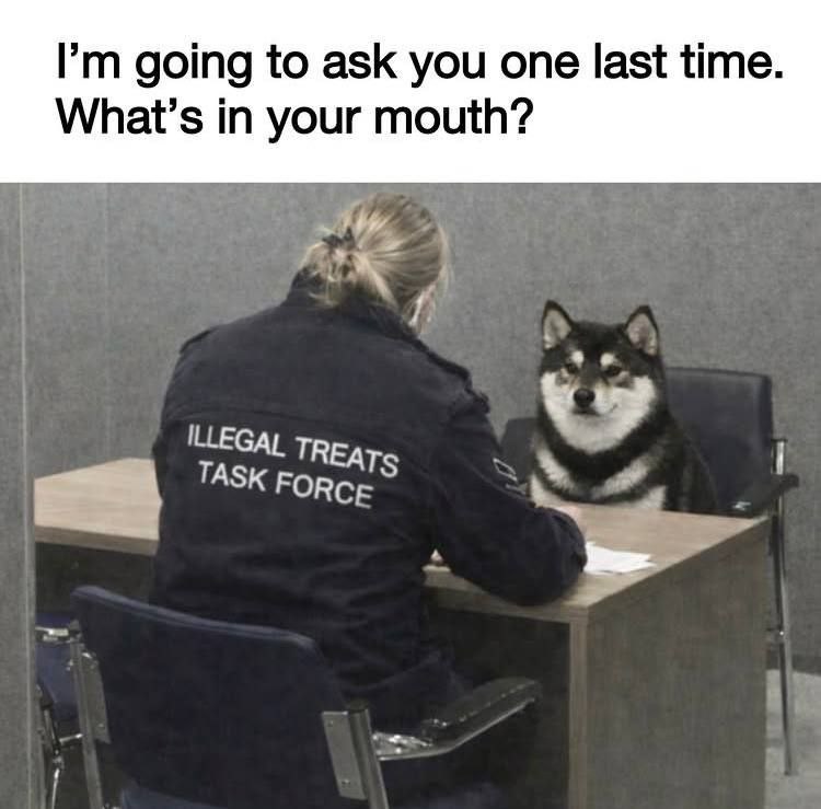 going to ask you one last time. What’s in your mouth? ILLEGAL ВСЕ TASK
