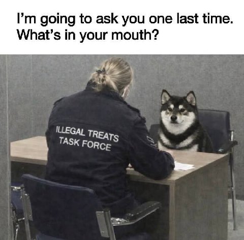 going to ask you one last time. What’s in your mouth? ILLEGAL ВСЕ TASK