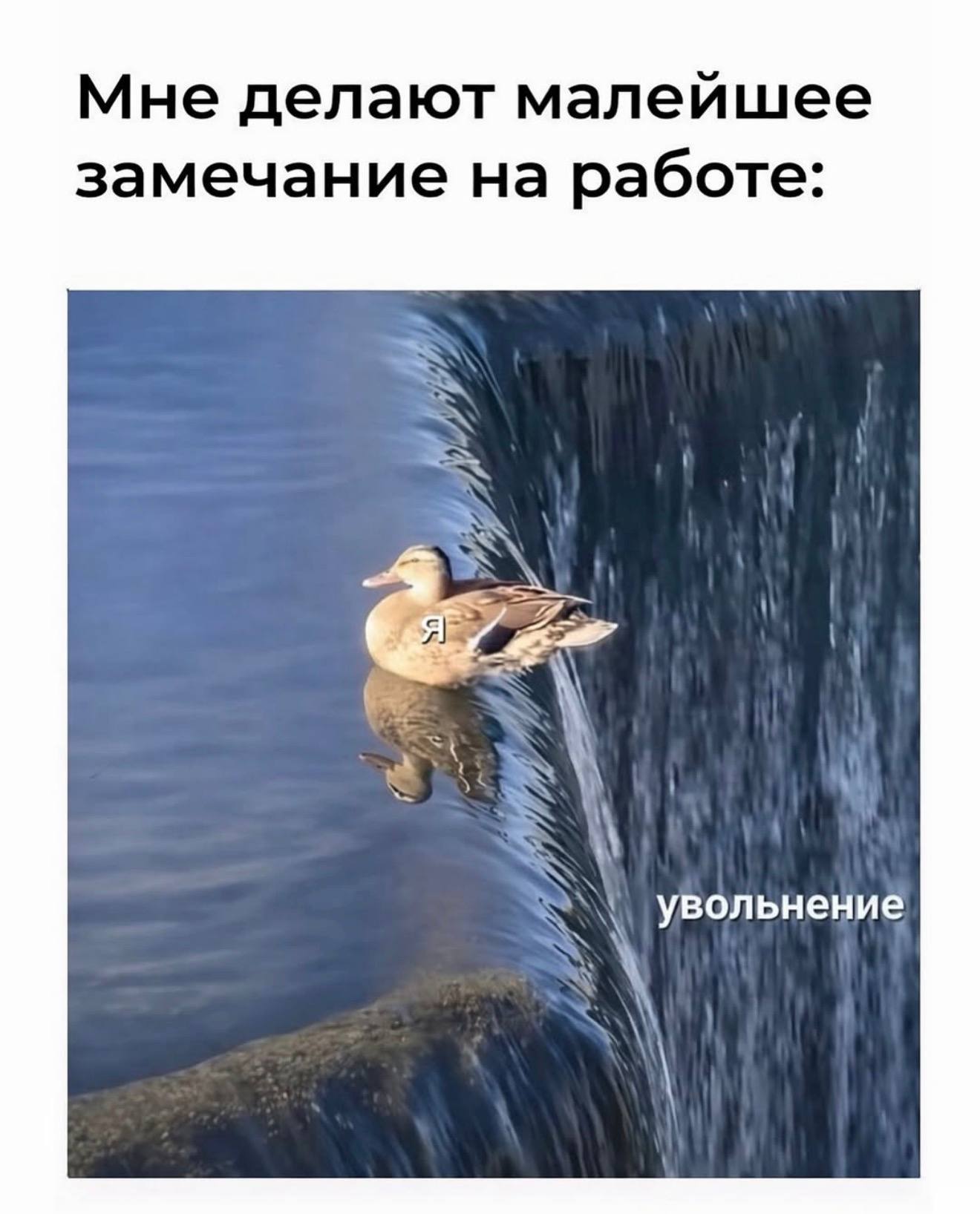 Мне делают малейшее замечание на работе: Увольнение