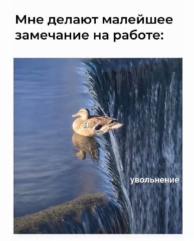 Мне делают малейшее замечание на работе: Увольнение