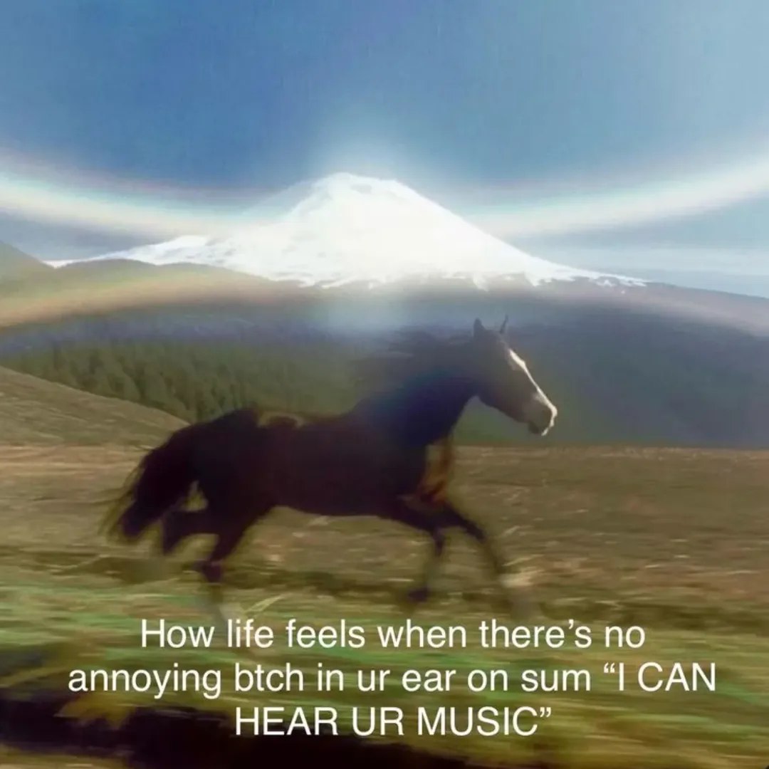How life feels when there’s по annoying btch in ear on sum CAN HEAR MUSIC”