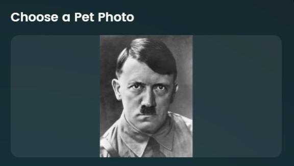 Choose а Pet Photo