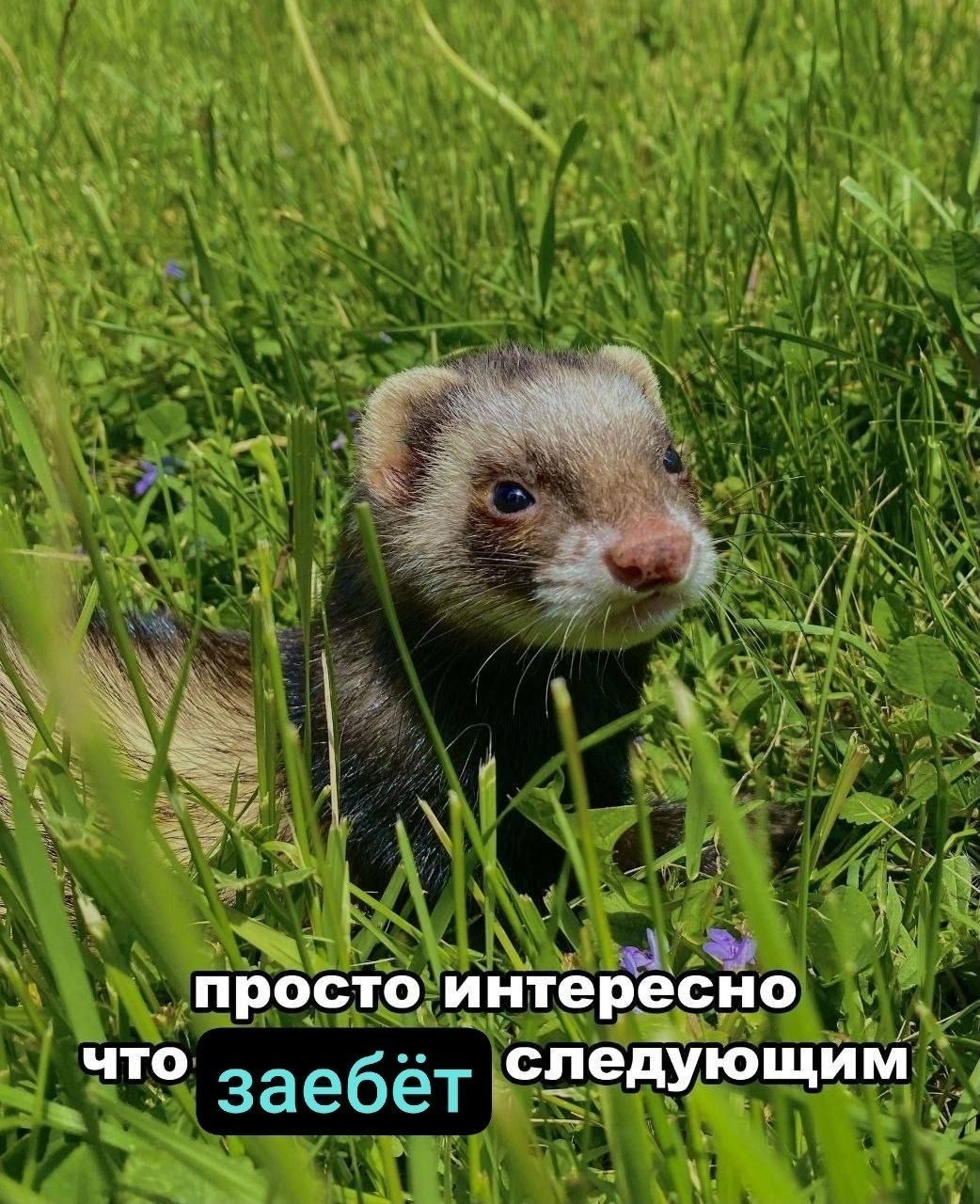 просто интересно что следующим