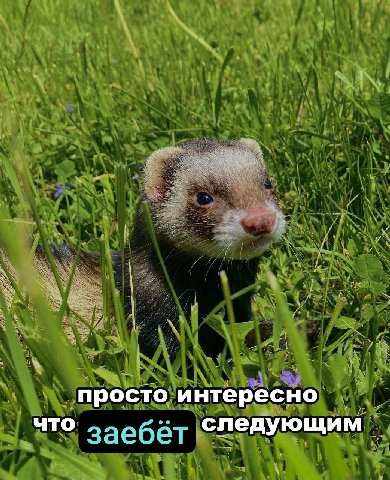 просто интересно что следующим