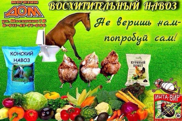 8 [24 ерищь GHA к попродий cad! 1 ive КОНСКИИ HABO3 у у КУРИНЫЙ a ПОМЕТ 7 A 4 3$ a. 2 Во.