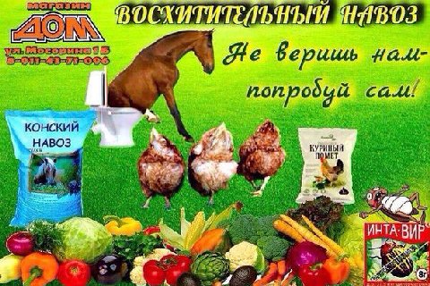 8 [24 ерищь GHA к попродий cad! 1 ive КОНСКИИ HABO3 у у КУРИНЫЙ a ПОМЕТ 7 A 4 3$ a. 2 Во.