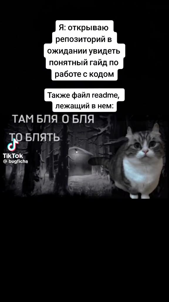 Я: открываю репозиторий в ожидании увидеть понятный гайд по работе с кодом Также файл readme, лежащий в нем: ТАМ БЛЯ О БЛЯ
