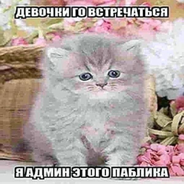 В а, Я ПАБЛИКА