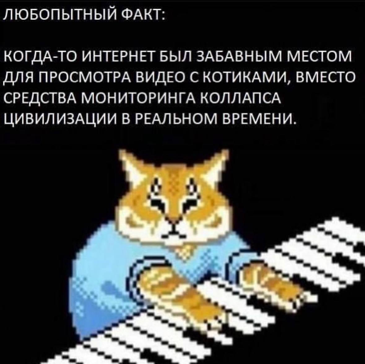 ЛЮБОПЫТНЫЙ ФАКТ: КОГДА-ТО ИНТЕРНЕТ БЫЛ ЗАБАВНЫМ МЕСТОМ ДЛЯ ПРОСМОТРА ВИДЕО С КОТИКАМИ, ВМЕСТО СРЕДСТВА МОНИТОРИНГА КОЛЛАПСА ЦИВИЛИЗАЦИИ В РЕАЛЬНОМ ВРЕМЕНИ.