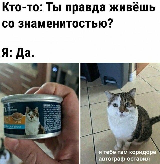 Кто-то: Ты правда живёшь знаменитостью? Да. я тебе там автограф оставил