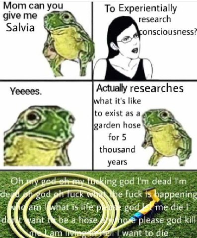 Mom can you To Experientially give me research Salvia onsciousness? i? 4 2 Actually researches hat it's like to exist as a garden hose for 5 thousand years dead deat Tlic appening №Ъеа hose please god