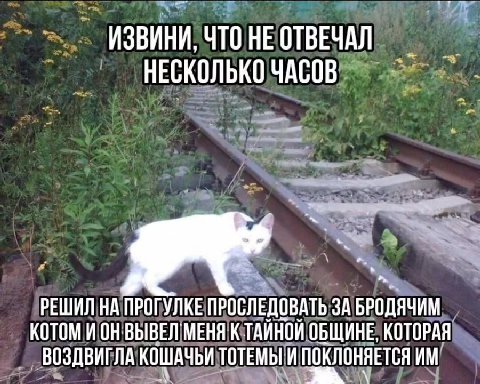 > = ИЗВИНИ, ЧТО НЕ ОТВЕЧАЛ _ big ~ .' НЕСКОЛЬКО ЧАСОВ = - РЕШИЛ НАПРОГУЛКЕ ПРОСЛЕДОВАТЬ ЗА БРОДЯЧИМ _ КОТОМИОНВЫВЕП МЕНЯ ТАЙНОЙ ОБЩИНЕ, КОТОРАЯ ~~ ВОЗДВИГЛА КОШАЧЬИ ТОТЕМЫИ ПОКЛОНЯЕТСЯ ИМ! i КОТОМ WOH