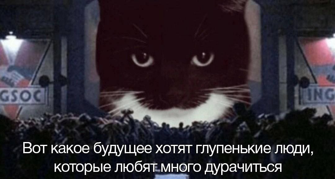 Вот какое будущее хотят глупенькие люди, которые любят много дурачиться