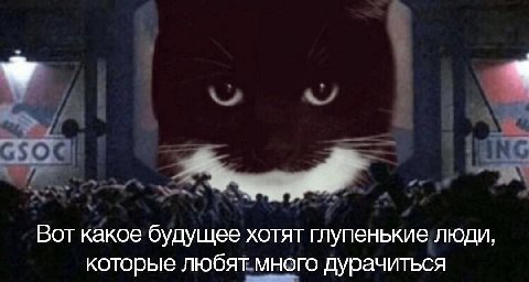 Вот какое будущее хотят глупенькие люди, которые любят много дурачиться