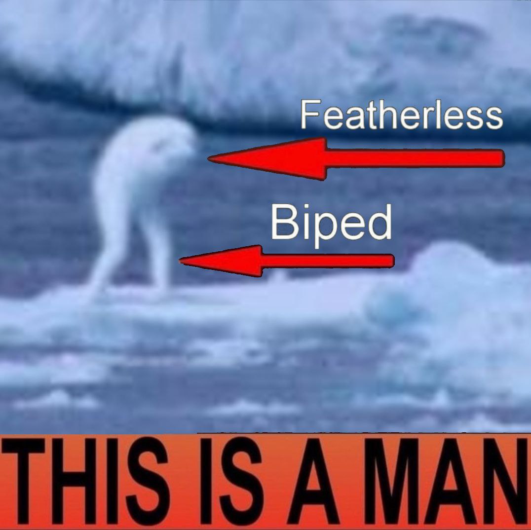 ningen confirmed to be a man