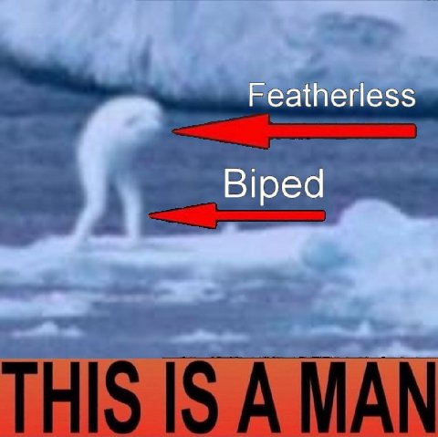ningen confirmed to be a man