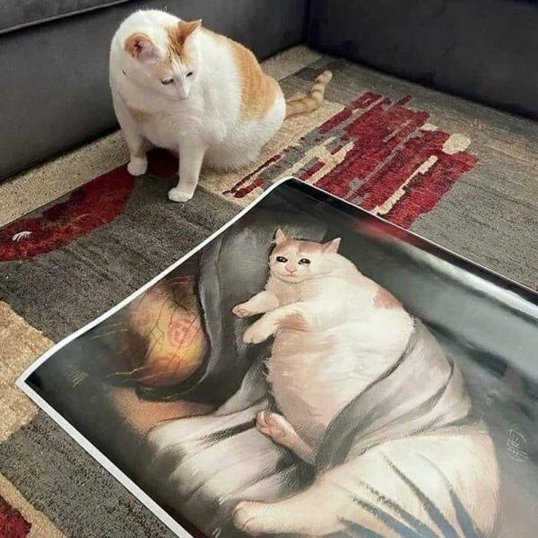 4 7 2 4 я