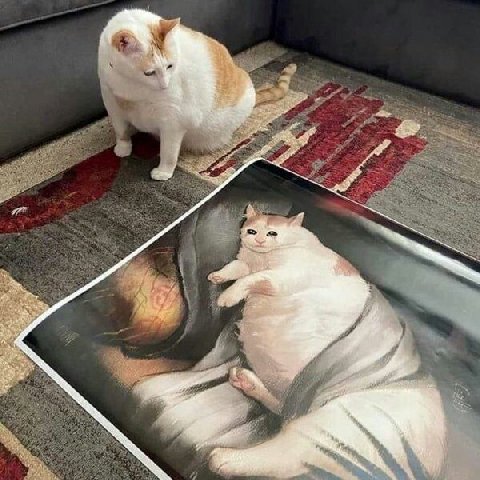 4 7 2 4 я