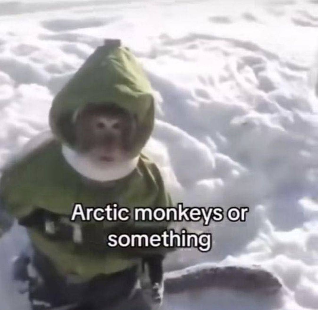 Arctic monkeys someth