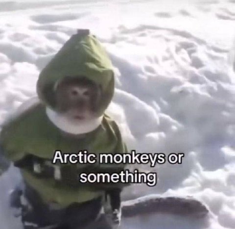 Arctic monkeys someth