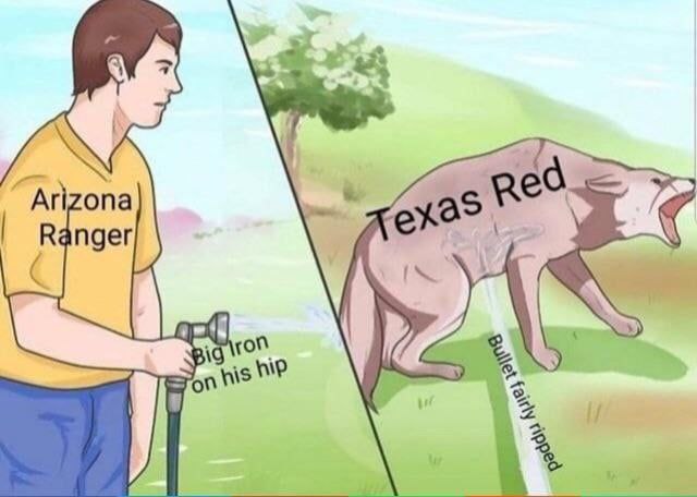 Arizona Ranger IN on nip