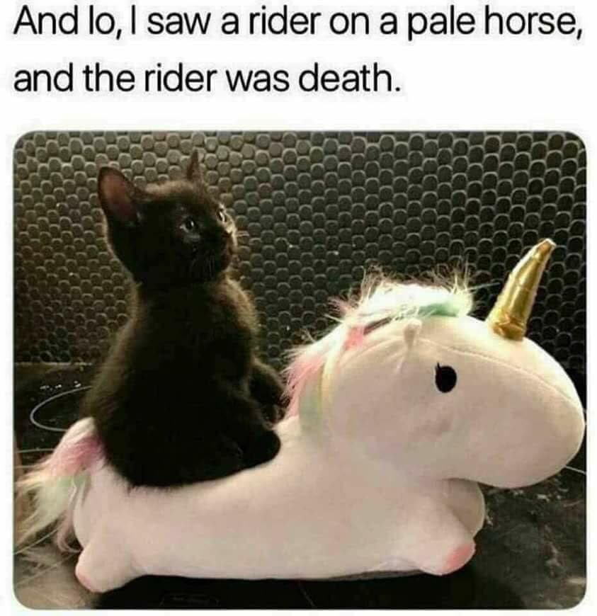 And saw а rider on a pale horse and the rider was death