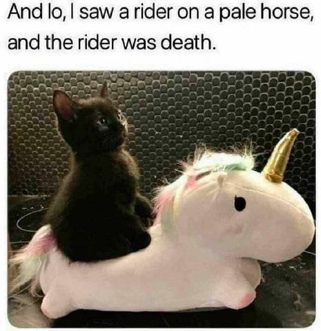 And saw а rider on a pale horse and the rider was death
