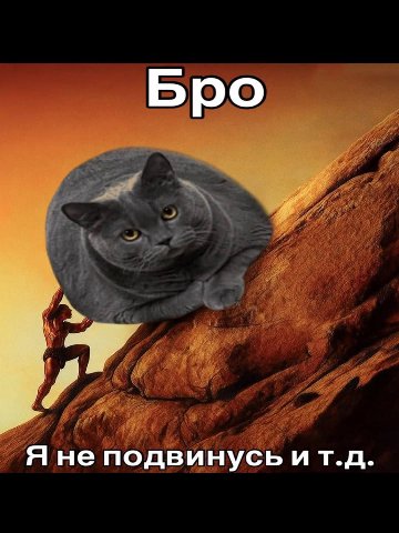 Бро Я не подвинусь ит.д.