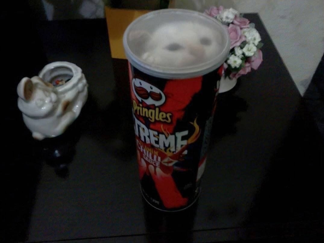 ingles