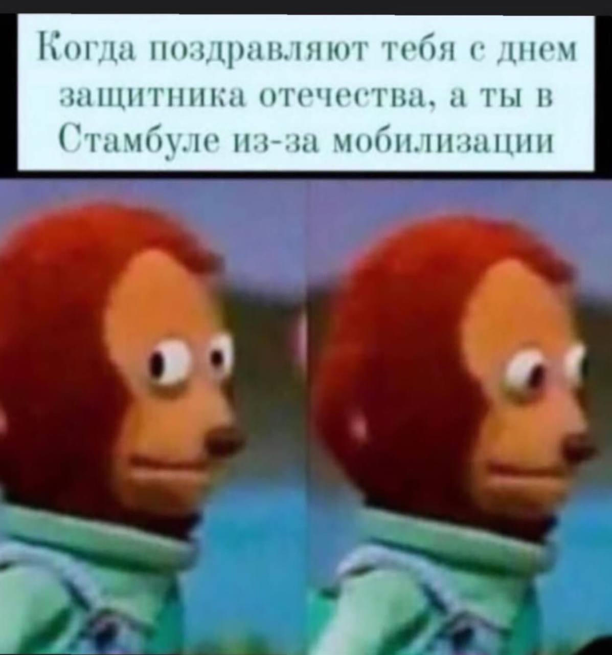 Когда поздравляют тебя с днем защитника отечества, а ты в Стамбуле из-за мобилизации