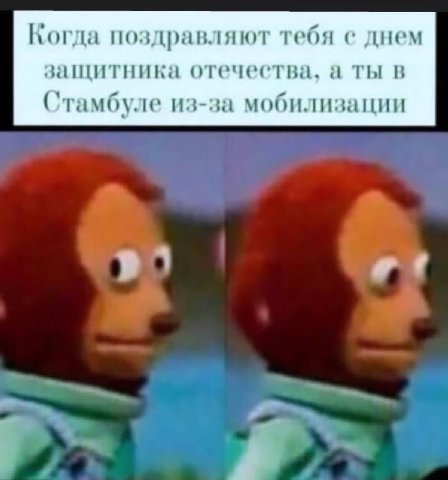 Когда поздравляют тебя с днем защитника отечества, а ты в Стамбуле из-за мобилизации