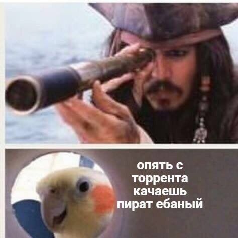 опять с торрента качаешь пират ебаный 4