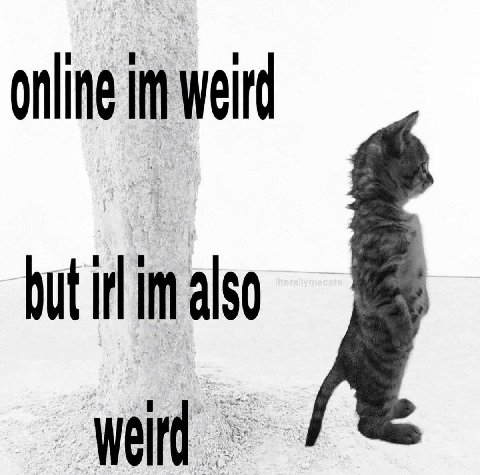 online weird but irl also