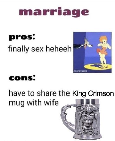 marriage pros: finally sex heheeh cons. have to share the King Crimson я mug with wife