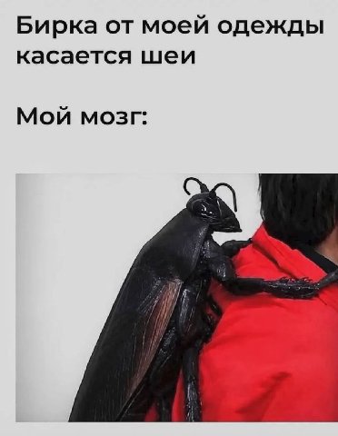 Бирка от моей одежды касается шеи Мой мозг: