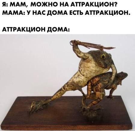 Я: МАМ, МОЖНО НА АТТРАКЦИОН? МАМА: У НАС ДОМА ЕСТЬ АТТРАКЦИОН. АТТРАКЦИОН ДОМА:
