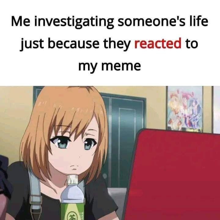 Me investigating someone's life just because they reacted to my meme