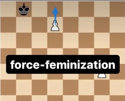 force-feminization