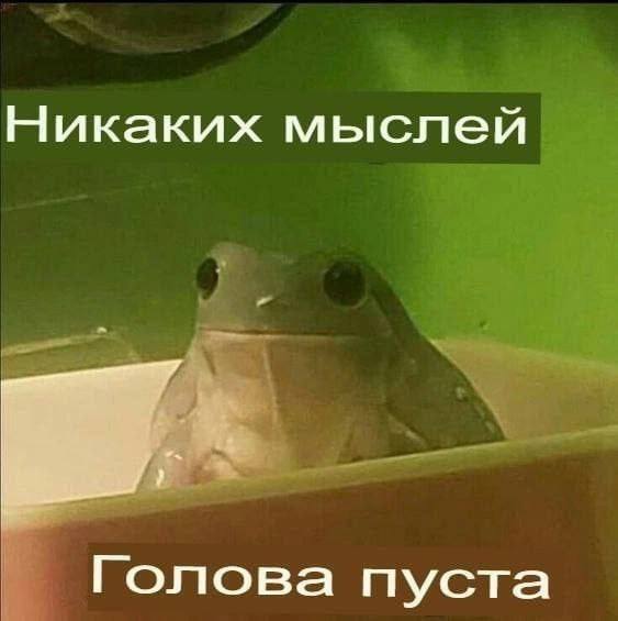 Никаких мыслей Голова пуста