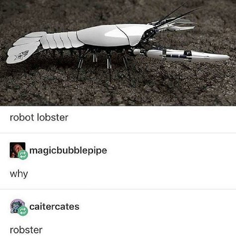 robot lobster magicbubblepipe why caitercates robster