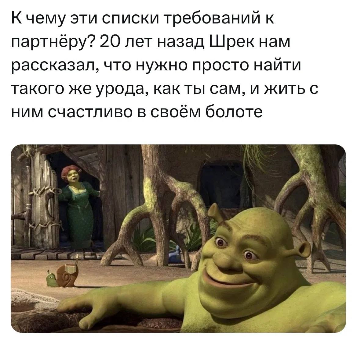К чему эти списки требований к партнёру? 20 лет назад Шрек нам рассказал, что нужно просто найти такого же урода, как ты сам, и жить с ним счастливо в своём болоте 4.
