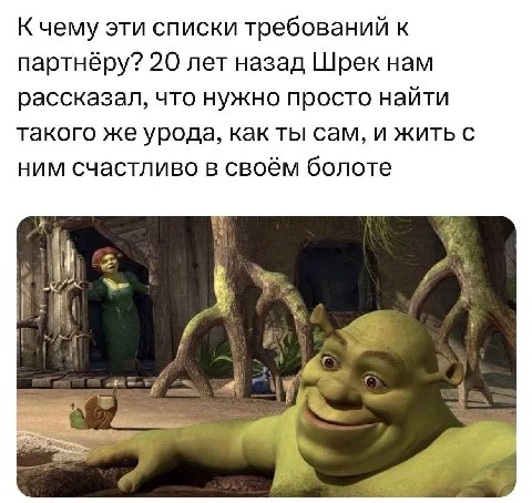 К чему эти списки требований к партнёру? 20 лет назад Шрек нам рассказал, что нужно просто найти такого же урода, как ты сам, и жить с ним счастливо в своём болоте 4.