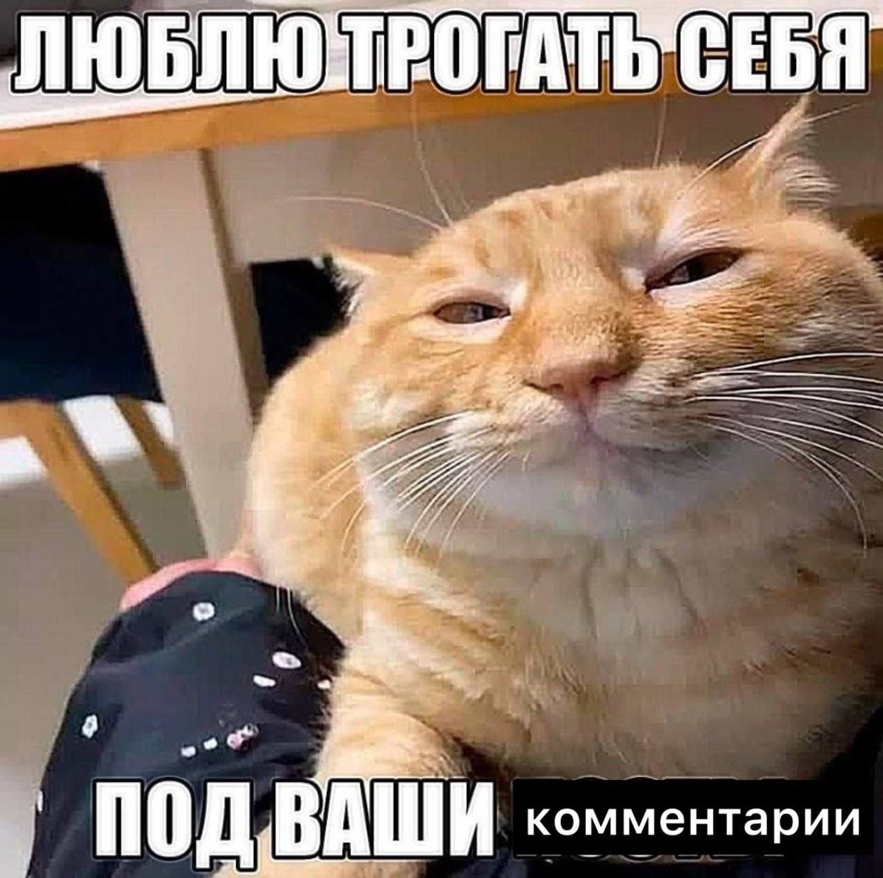 СЕБЯ ПОД ВАШИ комментарии