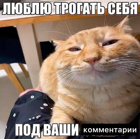 СЕБЯ ПОД ВАШИ комментарии